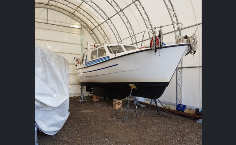 Albatross Flying 871-kuva-15